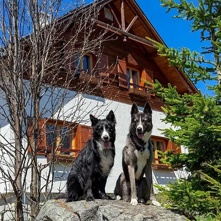 Jambrichova * Vysoké Tatry