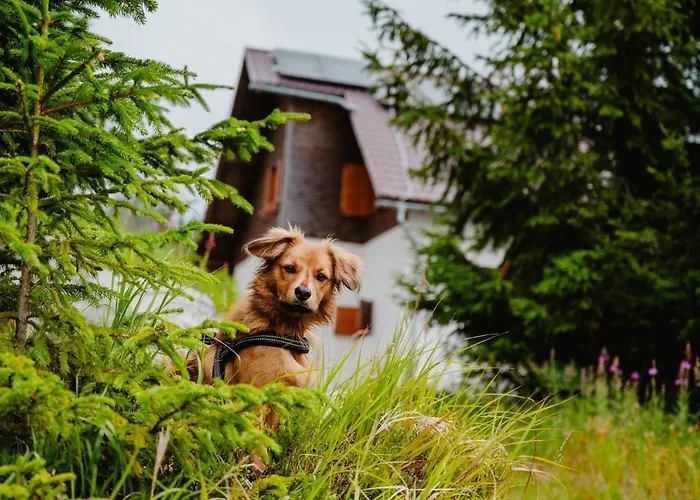 Jambrichova Chalet Vysoké Tatry