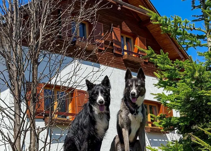 Jambrichova * Vysoké Tatry